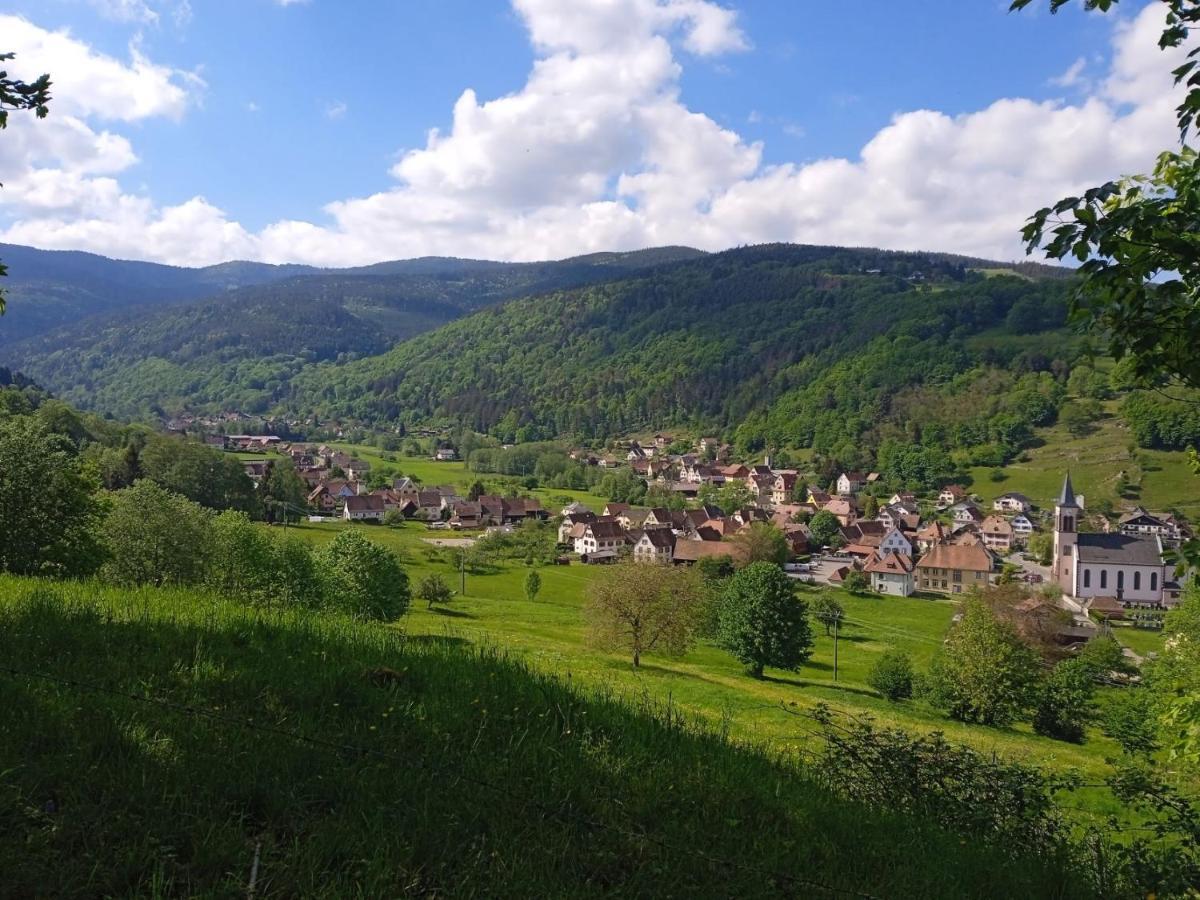 Le Gite Des Kritter Stosswihr Buitenkant foto